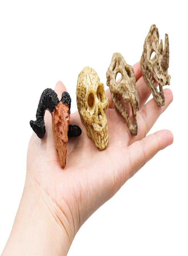 Oooct 8 Pcs Mini Animal Skull Statues - Realistic Resin Skeleton Head Decor for Reptile Habitat, Aquarium, Terrarium Tank Accessories for Bearded Dragons, Geckos, Lizards, Halloween Christmas Crafts - Image 3